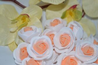 Роза двухцветная 3 см, цв. бело-персиковый