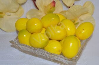 Лимон жёлтый, 35 мм